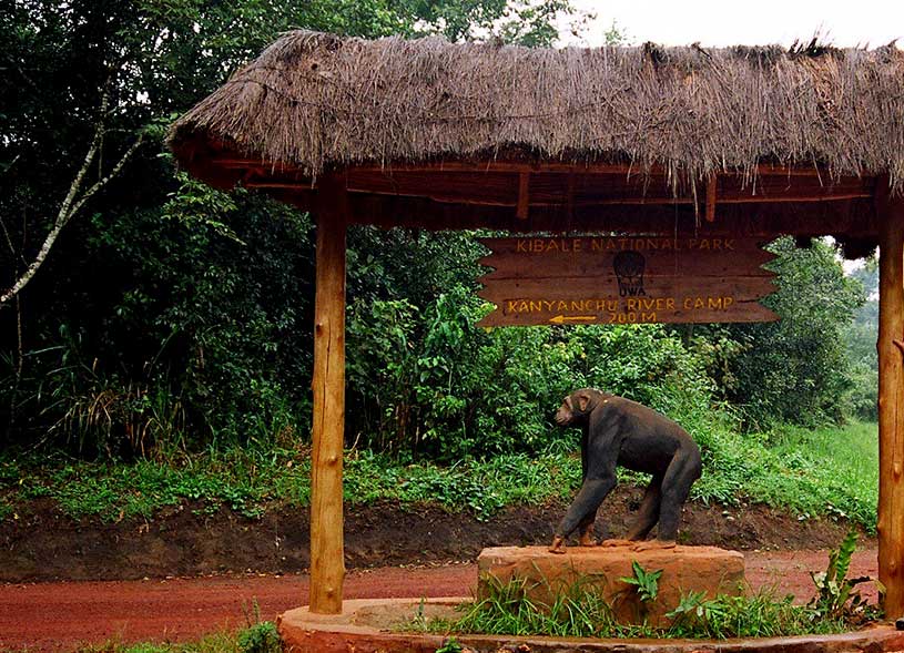 kibale-forest-national-park-main-gate