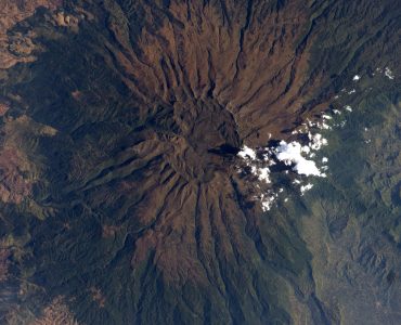 1137               82.8F