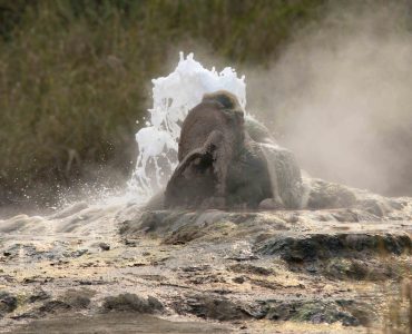 semliki-sepaya-hotsprings